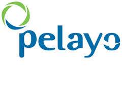 Pelayo